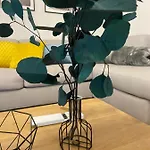 Castanea فيلة أوباتيا