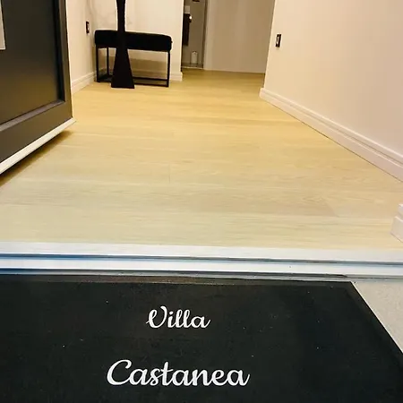 Castanea אופטיה