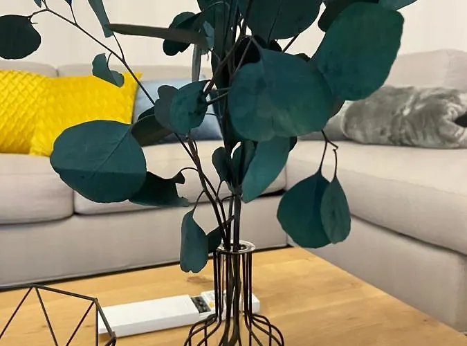 Castanea 别墅 奥帕提亚